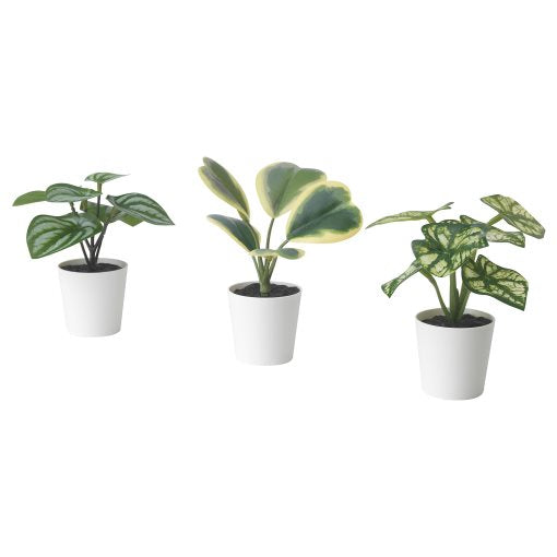 FEJKA artificial potted plant with pot in/outdoor begonia, set of 3