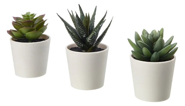 FEJKA Artificial potted plant with pot, in/outdoor Succulent, 6 cm 3 pack