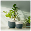 SAGOGRYN Plant pot, grey/handmade, 9 cm