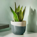 SAGOGRYN Plant pot, grey/handmade, 13 cm