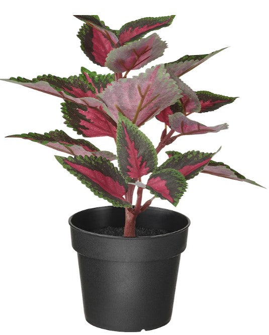 FEJKA Artificial potted plant, in/outdoor Painted nettle, 9 cm