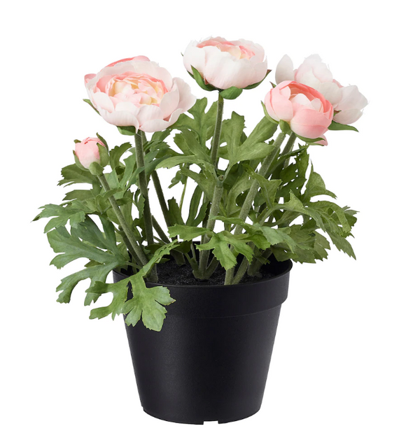 FEJKA Artificial potted plant, in/outdoor/Ranunculus pink, 12 cm