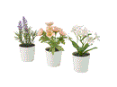 FEJKA Artificial potted plant w pot, set of 3, in/outdoor flower mix, 6 cm