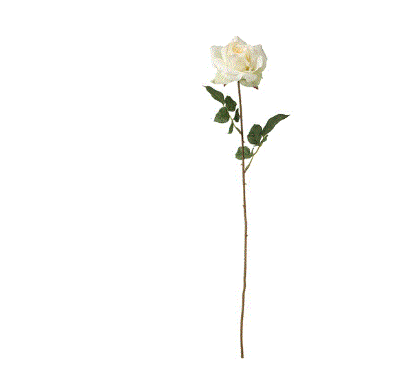 SMYCKA Artificial flower, rose/white, 75 cm